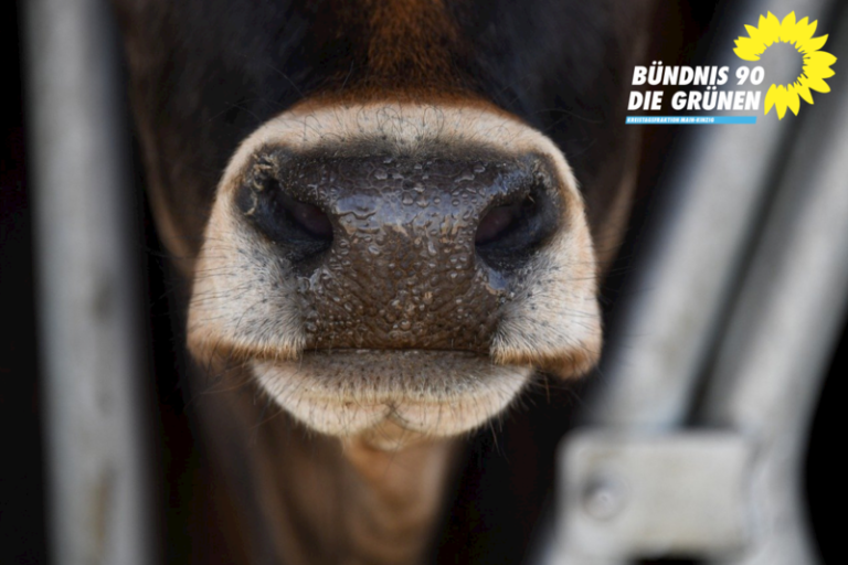 Änderungsantrag zum Haushalt: Mehr Stellen im Veterinäramt